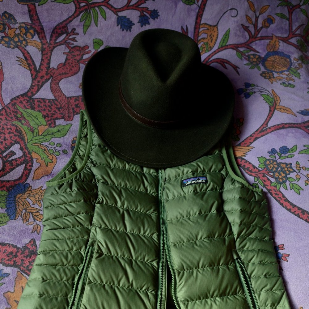 Patagonia Down Vest, unworn.